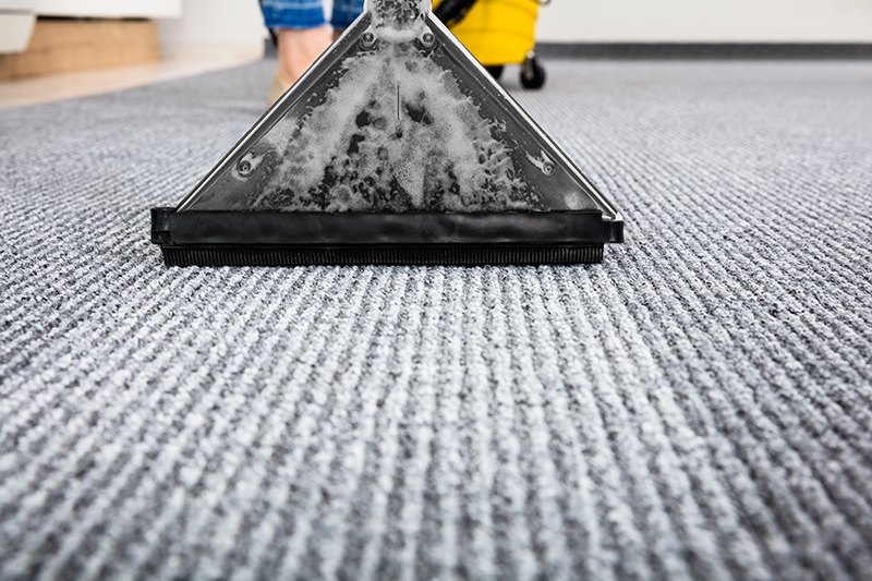 Carpet Cleaning Near Me in Southampton Hampshire