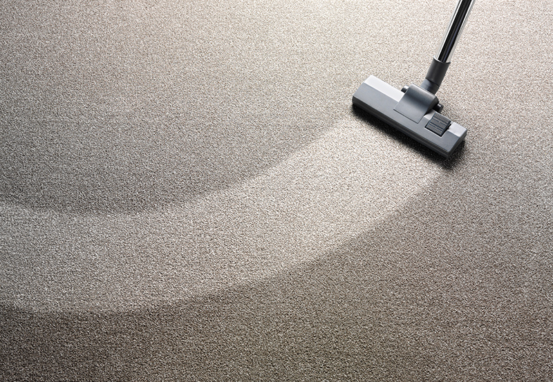 Rug Cleaning Service in Southampton Hampshire